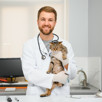 Vétérinaire qui tient un chat dans ses bras