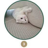 chat serein-pilier 1