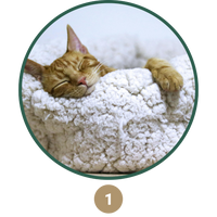 chat serein pilier 3