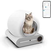 Litière automatique pour chat | Un environnement serein pour votre chat