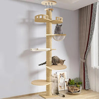 Arbre à chat