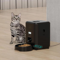 Distributeur de croquettes pour chat