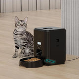 Distributeur de croquettes pour chat